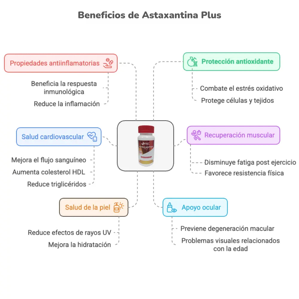 Infografía sobre los beneficios de Astaxantina Plus. Destaca sus propiedades antioxidantes y antiinflamatorias, mejora la salud cardiovascular, favorece la recuperación muscular, protege la piel contra los rayos UV, hidrata y contribuye a la salud ocular previniendo la degeneración macular.