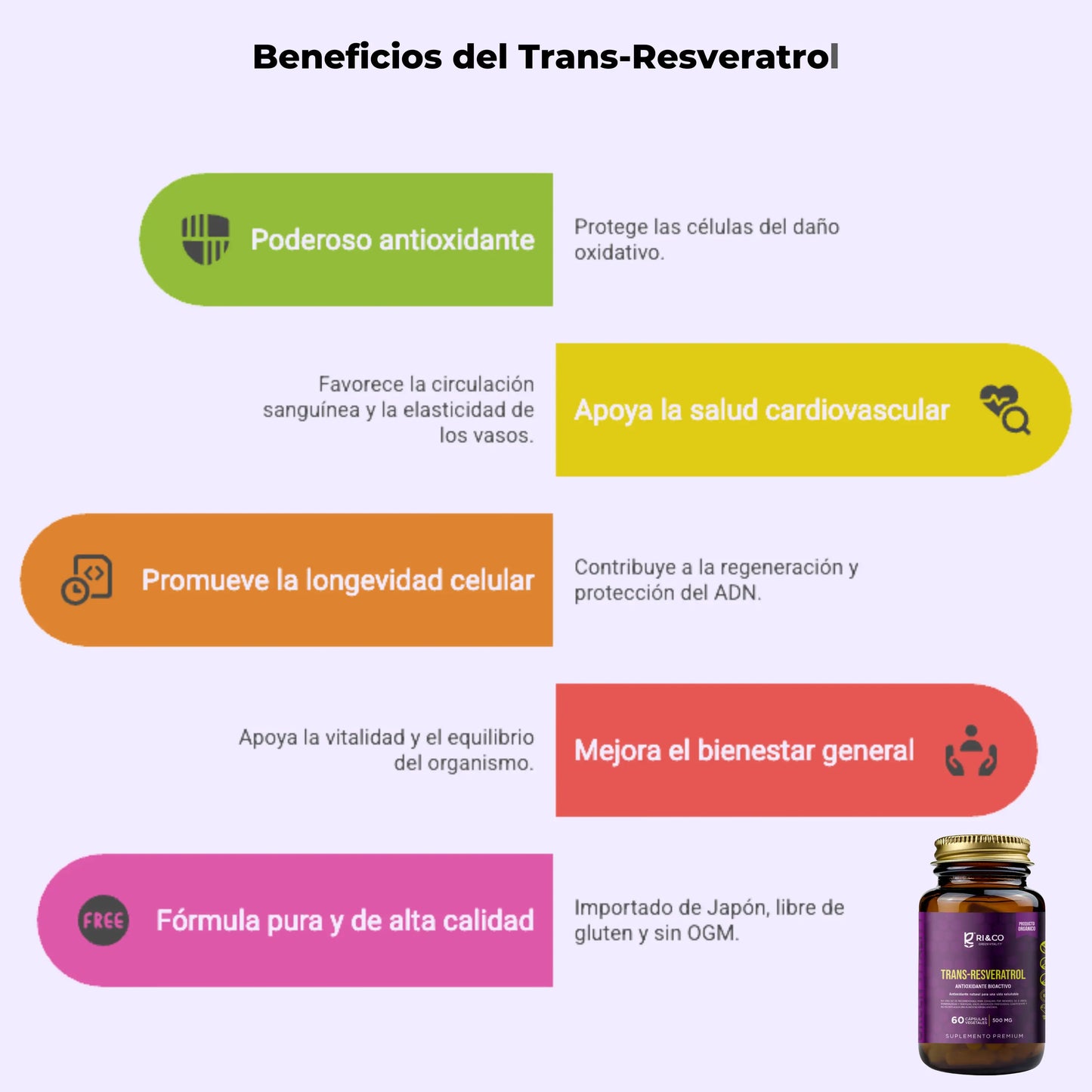Infografía sobre los beneficios del suplemento Trans-Resveratrol de RI&CO. Resalta su acción antioxidante, su apoyo a la salud cardiovascular, la promoción de la longevidad celular, el bienestar general y su fórmula pura de alta calidad. Producto importado de Japón, libre de gluten y sin OGM. Frasco del suplemento en la esquina inferior derecha.