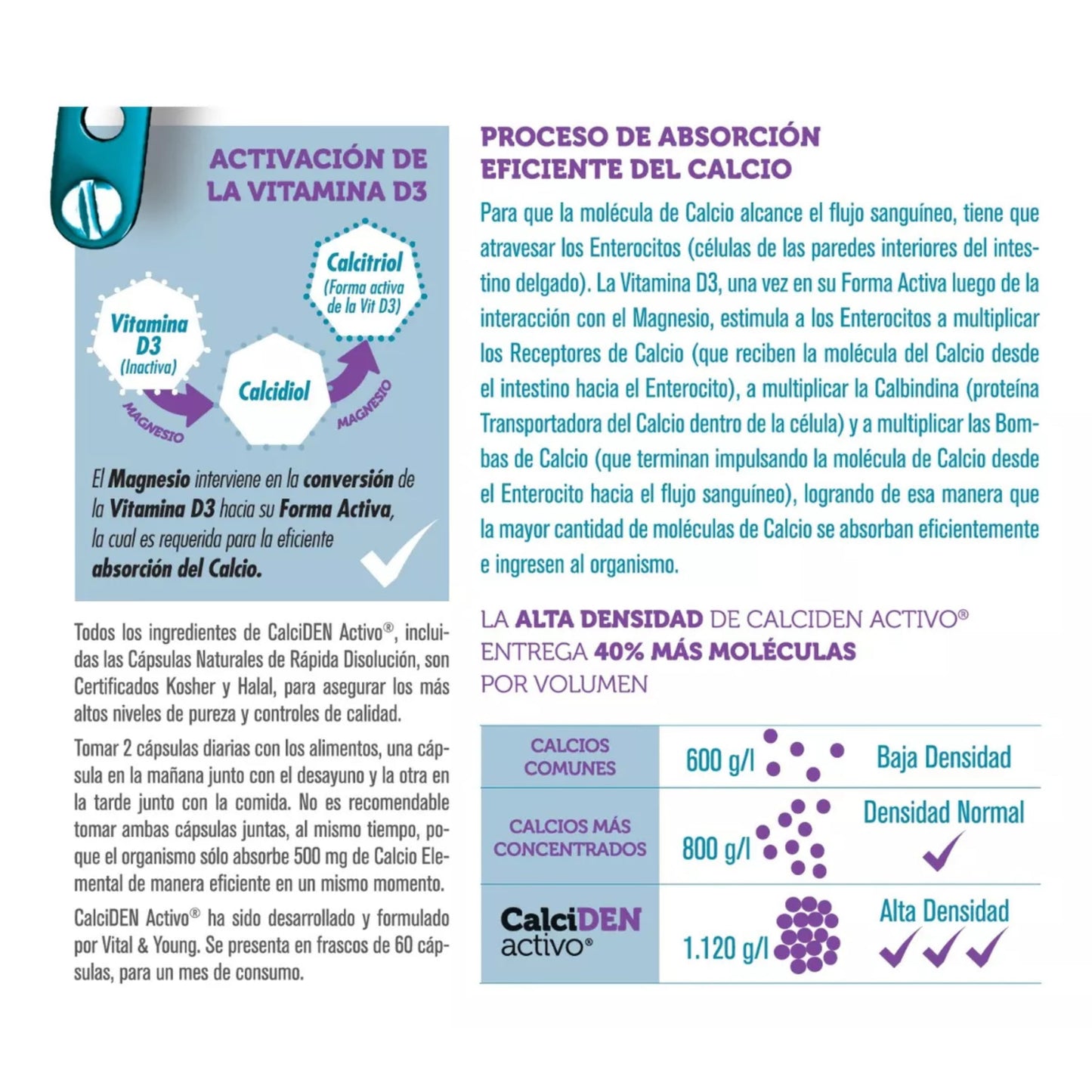 Proceso de absorción de calcio y activación de vitamina D3 en el producto CalciDEN Activo. Información sobre densidad y eficacia.