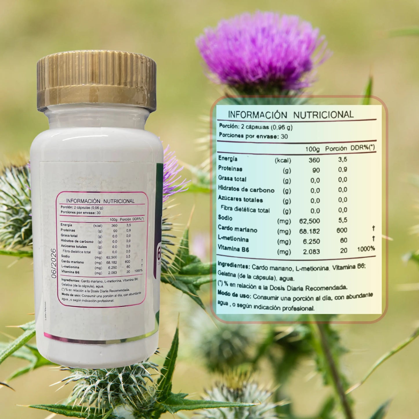 Frasco de suplemento alimentario Cardo Mariano de Laboratorio FNL, mostrando la etiqueta de información nutricional. Contiene 60 cápsulas (30 porciones de 2 cápsulas). Destaca contenido de cardo mariano, L-metionina y vitamina B6, con aporte calórico mínimo. Fondo decorado con flores de cardo mariano en detalle.