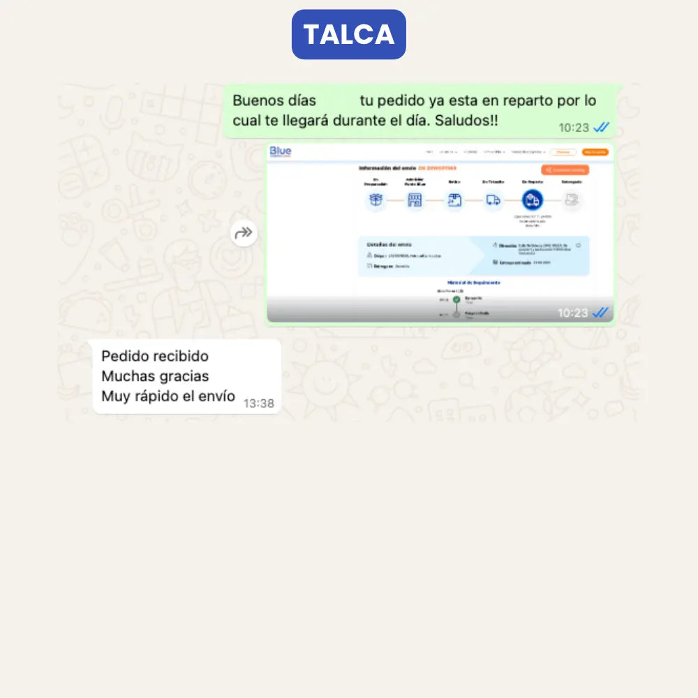 Entrega de paquete por parte de Vivantia en Talca. Cliente confirma recepción del pedido y agradece la rapidez del envío.
