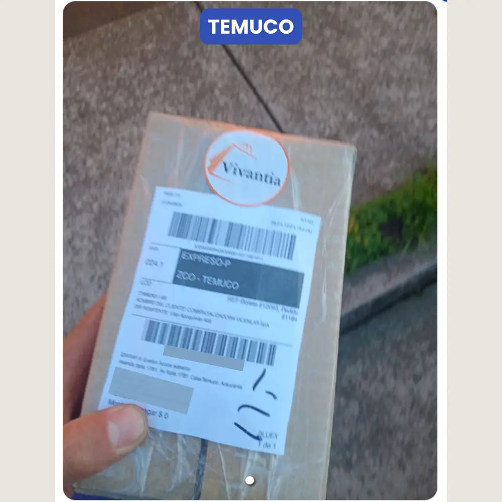 Entrega de paquete por parte de Vivantia en Temuco. Persona sostiene la caja con etiqueta visible sobre una vereda de cemento junto a un área verde.