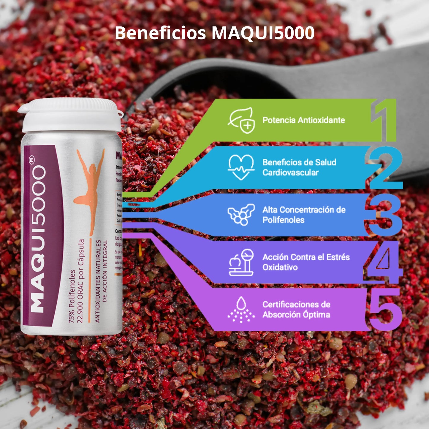 Infografía sobre los beneficios de MAQUI5000. Destaca su potencia antioxidante, beneficios cardiovasculares, alta concentración de polifenoles, acción contra el estrés oxidativo y certificaciones de absorción óptima. La imagen muestra un frasco del suplemento junto a un fondo de maqui en polvo.