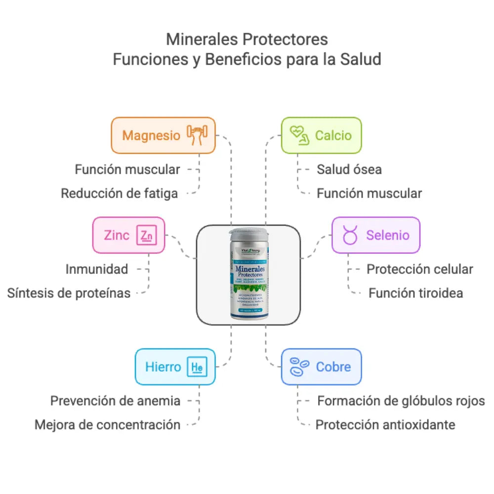 Infografía sobre los beneficios del suplemento Minerales Protectores. En el centro, frasco del producto rodeado por seis minerales esenciales y sus funciones para la salud: magnesio para la función muscular y reducción de fatiga, calcio para la salud ósea y muscular, selenio para la protección celular y función tiroidea, cobre para la formación de glóbulos rojos y acción antioxidante, hierro para prevenir la anemia y mejorar la concentración, y zinc para fortalecer el sistema inmune y la síntesis de proteín