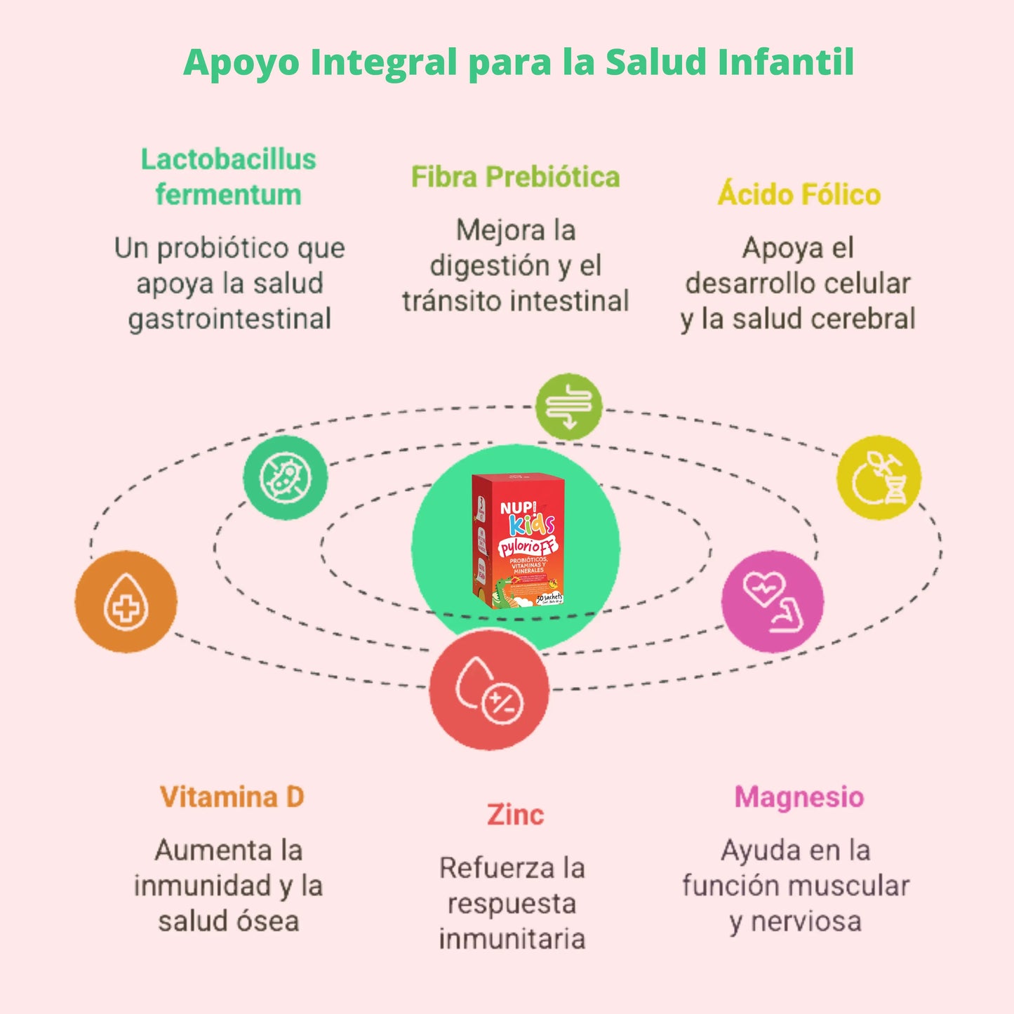 Infografía sobre el suplemento infantil NUP! Kids Pylori Off, destacando sus beneficios para la salud infantil. Incluye ingredientes como Lactobacillus fermentum (salud gastrointestinal), fibra prebiótica (digestión), ácido fólico (desarrollo celular), vitamina D (inmunidad y salud ósea), zinc (respuesta inmunitaria) y magnesio (función muscular y nerviosa). El diseño es colorido y muestra el envase del producto en el centro.