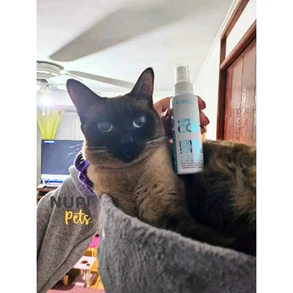 Gato siamés descansando en una cama, con una persona sosteniendo una botella de NUP!Pets Care Dermo & Skin Spray en el fondo. Branding de NUP!Pets visible en la imagen.