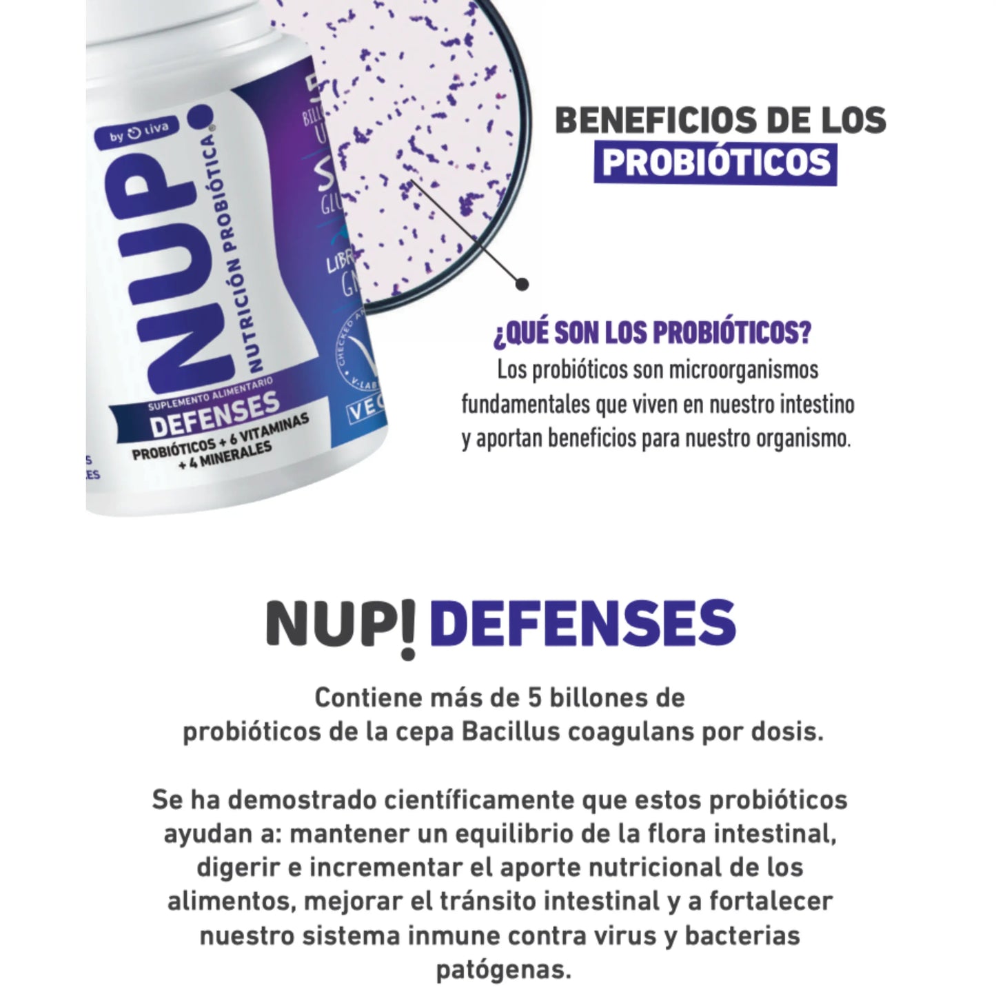 nfografía del suplemento NUP Defenses con probióticos Bacillus coagulans. Beneficia la flora intestinal y refuerza el sistema inmune.