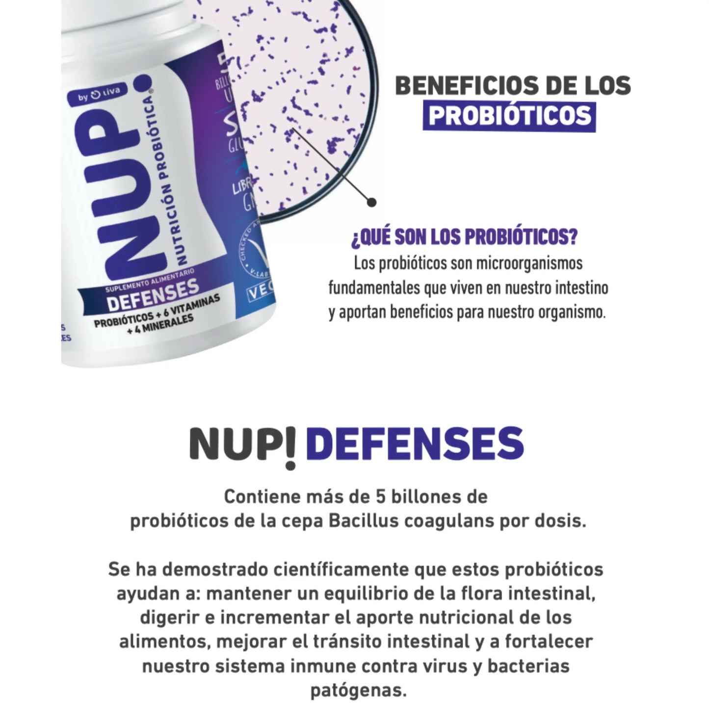 Infografía NUP! DEFENSES probióticos: flora intestinal, digestión y defensa inmunológica