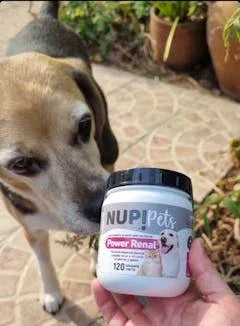 Nup! Pets Power Renal frasco frontal, suplemento nutricional para mascotas