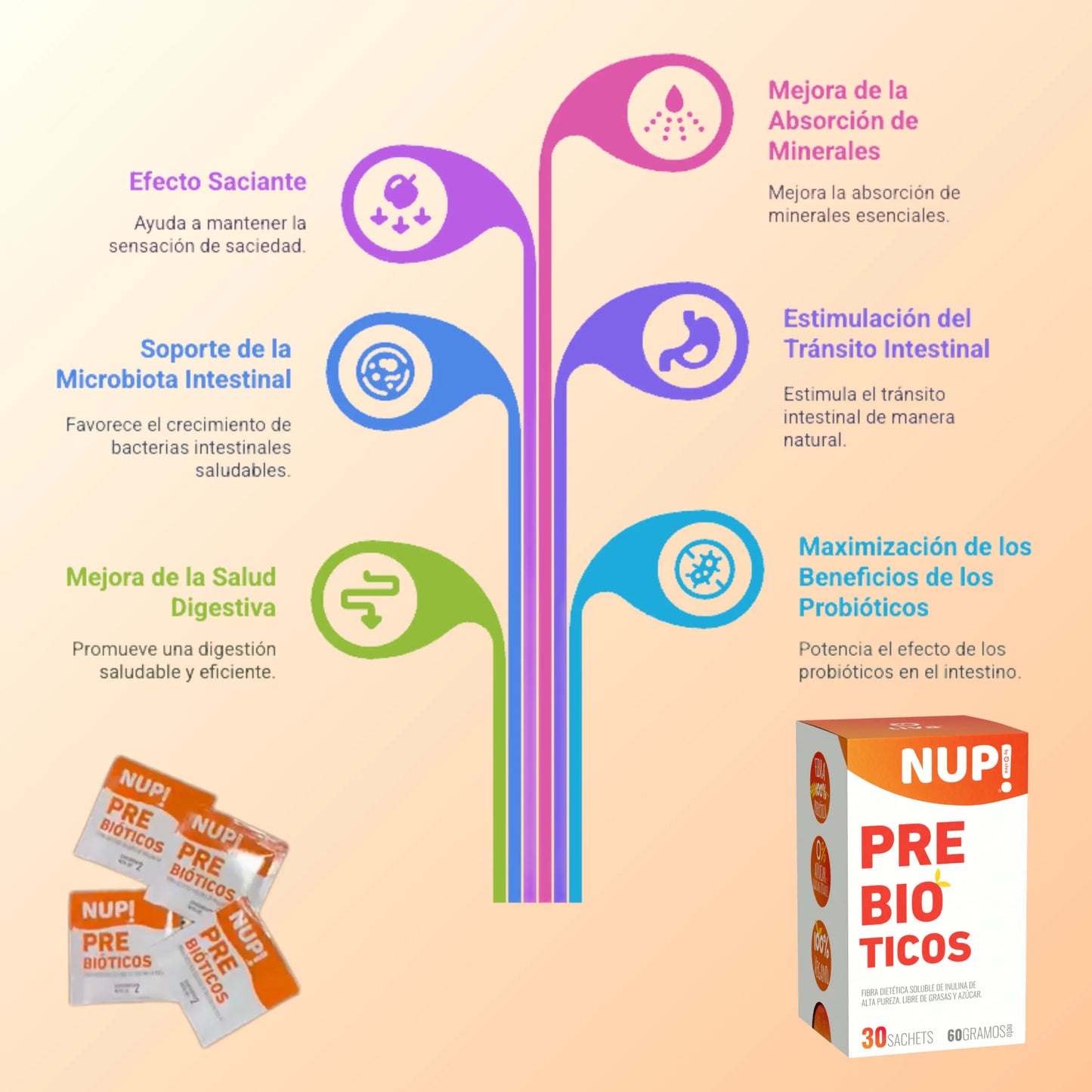 Infografía con beneficios del suplemento NUP!® Prebióticos, presentado en caja blanca y naranja con 30 sachets. A la izquierda se muestran sachets individuales. Los beneficios ilustrados incluyen efecto saciante, mejora de la salud digestiva, tránsito intestinal, absorción de minerales, soporte de la microbiota intestinal y potenciación de probióticos.
