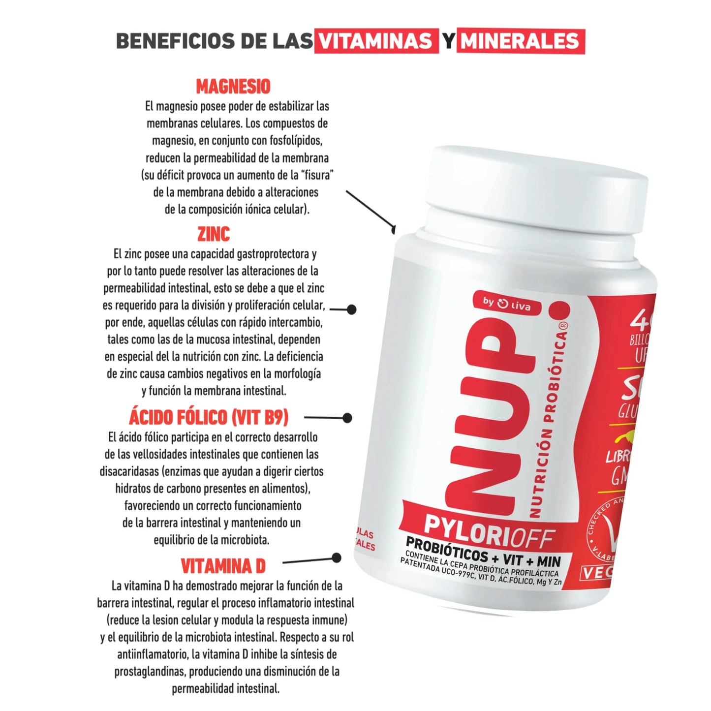 Infografía con los beneficios de las vitaminas y minerales en NUP! PyloriOff, resaltando ingredientes como magnesio, zinc, ácido fólico y vitamina D para el equilibrio intestinal.