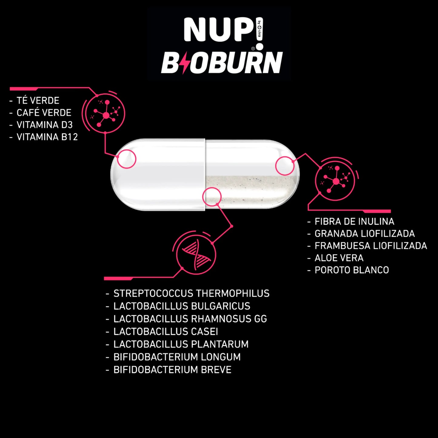 Infografía con cápsula del suplemento NUP! B10 BURN en el centro, mostrando su composición dividida en tres secciones: vitaminas (té verde, café verde, D3, B12), extractos vegetales (fibra de inulina, granada, frambuesa, aloe vera, poroto blanco) y probióticos.