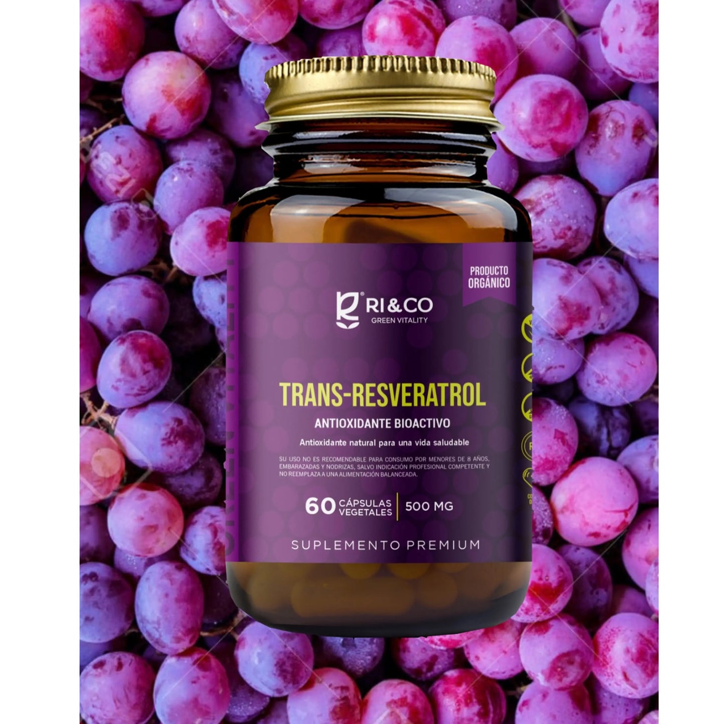 Frasco de suplemento Trans-Resveratrol de RI&CO con 60 cápsulas vegetales de 500 mg. Etiqueta morada con detalles del producto como antioxidante bioactivo, elaborado con extracto de Polygonum cuspidatum y uvas. Fondo con racimos de uvas resaltando su origen natural. Producto orgánico y suplemento premium para una vida saludable.