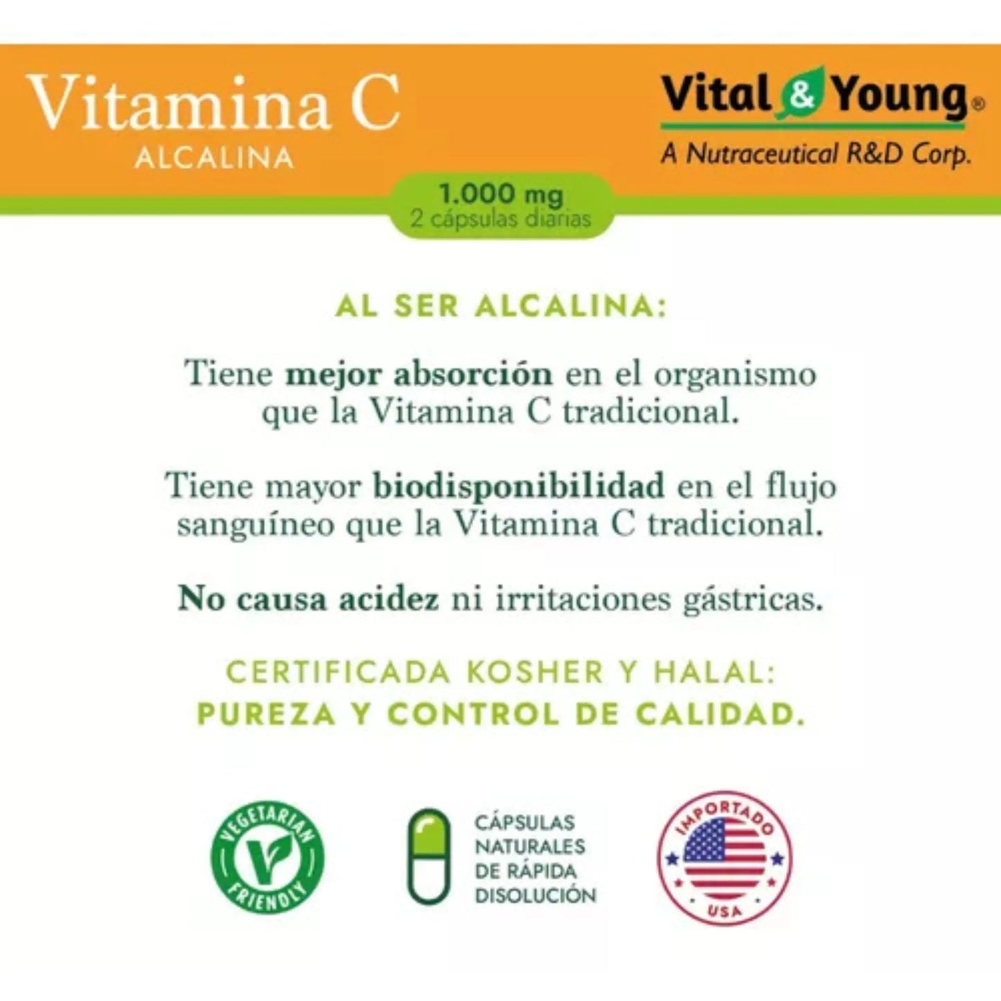 Infografía sobre los beneficios de la Vitamina C Alcalina Vital & Young. Resalta su mejor absorción, mayor biodisponibilidad y el hecho de que no causa acidez ni irritaciones gástricas. Incluye certificación Kosher y Halal, cápsulas de rápida disolución, y sello de importación desde EE.UU. Ideal para quienes buscan una fórmula de alta pureza y tolerancia digestiva.
