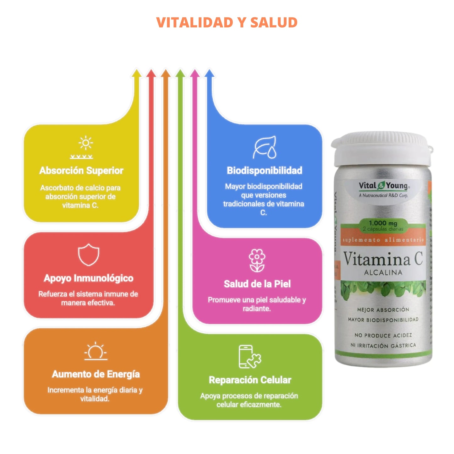 Infografía colorida con beneficios de la Vitamina C Alcalina Vital & Young, acompañada de una vista lateral del envase del suplemento. Se destacan propiedades como absorción superior, apoyo inmunológico, aumento de energía, biodisponibilidad, salud de la piel y reparación celular. Diseño enfocado en salud, energía y bienestar diario.
