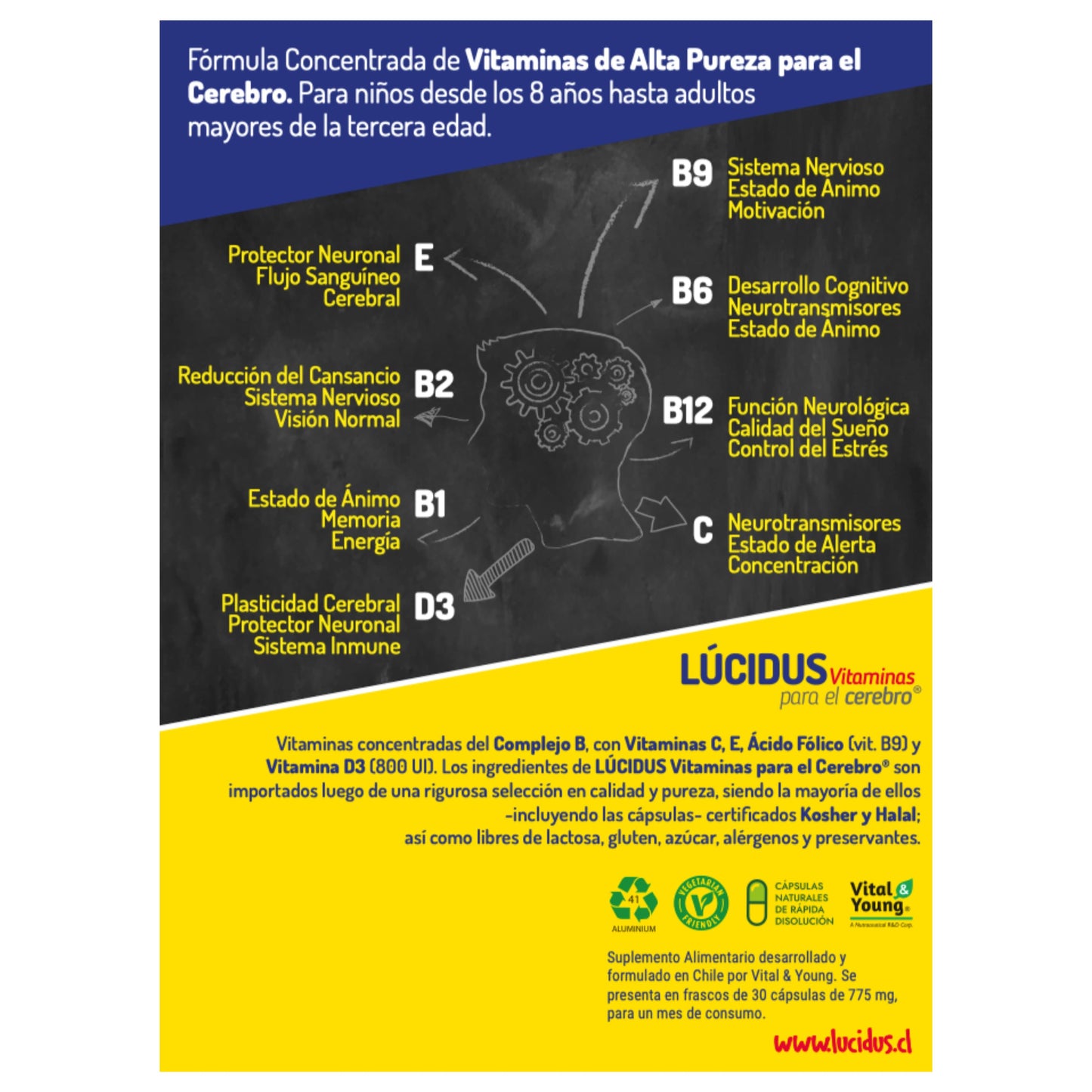 Infografía explicativa con los beneficios de cada vitamina en Lúcidus Vitaminas, destacando su impacto en la función cerebral, energía y sistema inmune.