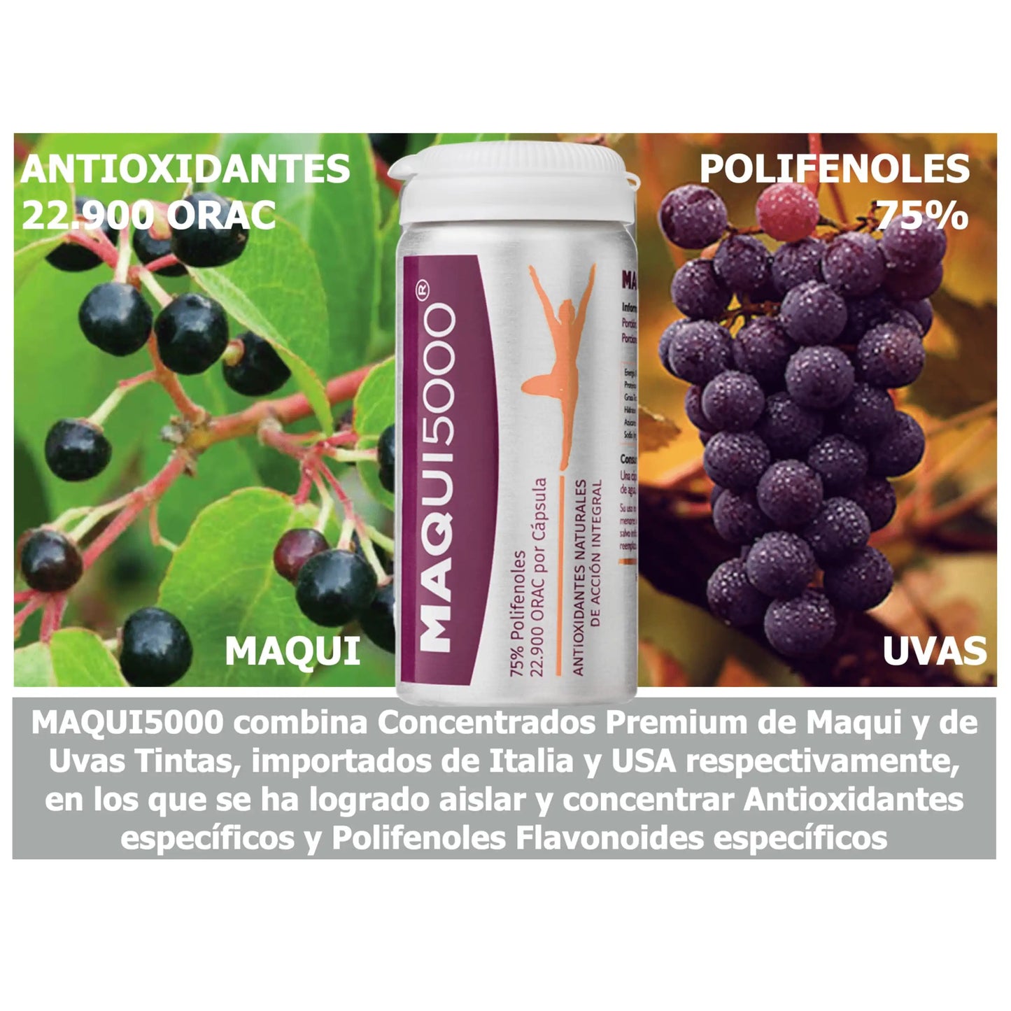 MAQUI5000 con extractos de maqui y uvas tintas, resaltando su alto contenido en antioxidantes y polifenoles flavonoides.