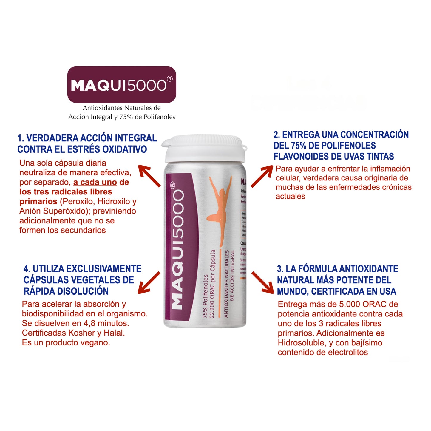 Infografía destacando los beneficios de MAQUI5000, incluyendo su acción contra el estrés oxidativo, concentración de polifenoles, rápida absorción y certificación vegana.