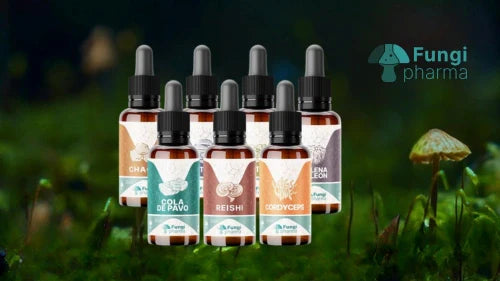 Fungi Pharma