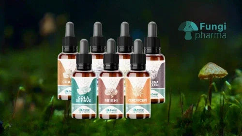 Fungi Pharma - Vivantia.cl
