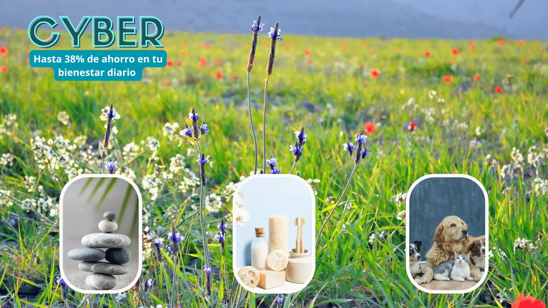 Promoción CYBER sobre un fondo de campo florido con lavanda y flores rojas. Texto en la parte superior izquierda: “CYBER - Hasta 38% de ahorro en tu bienestar diario”. En la parte inferior hay tres imágenes: piedras apiladas (relajación), productos naturales (cuidado personal) y un perro con gatitos (bienestar de mascotas).