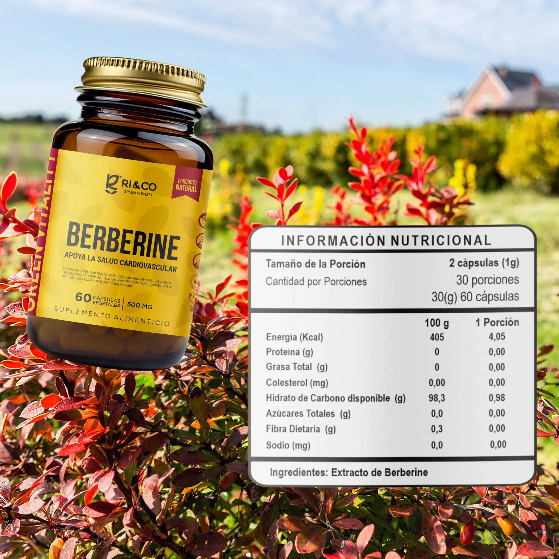 Frasco de suplemento Ri&Co Berberine de 500 mg, 60 cápsulas vegetales, sobre fondo natural con arbustos rojos. A la derecha, tabla de información nutricional que detalla 2 cápsulas por porción (1g) y extracto de berberina como ingrediente principal.