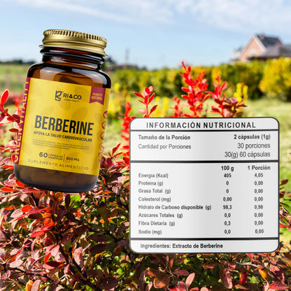 Frasco de suplemento Ri&Co Berberine de 500 mg, 60 cápsulas vegetales, sobre fondo natural con arbustos rojos. A la derecha, tabla de información nutricional que detalla 2 cápsulas por porción (1g) y extracto de berberina como ingrediente principal.