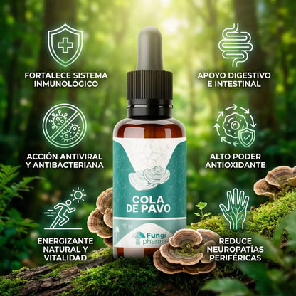 Extracto de Cola de Pavo de Fungi Pharma en gotero, con beneficios inmunológicos, antivirales, antioxidantes y digestivos naturales.