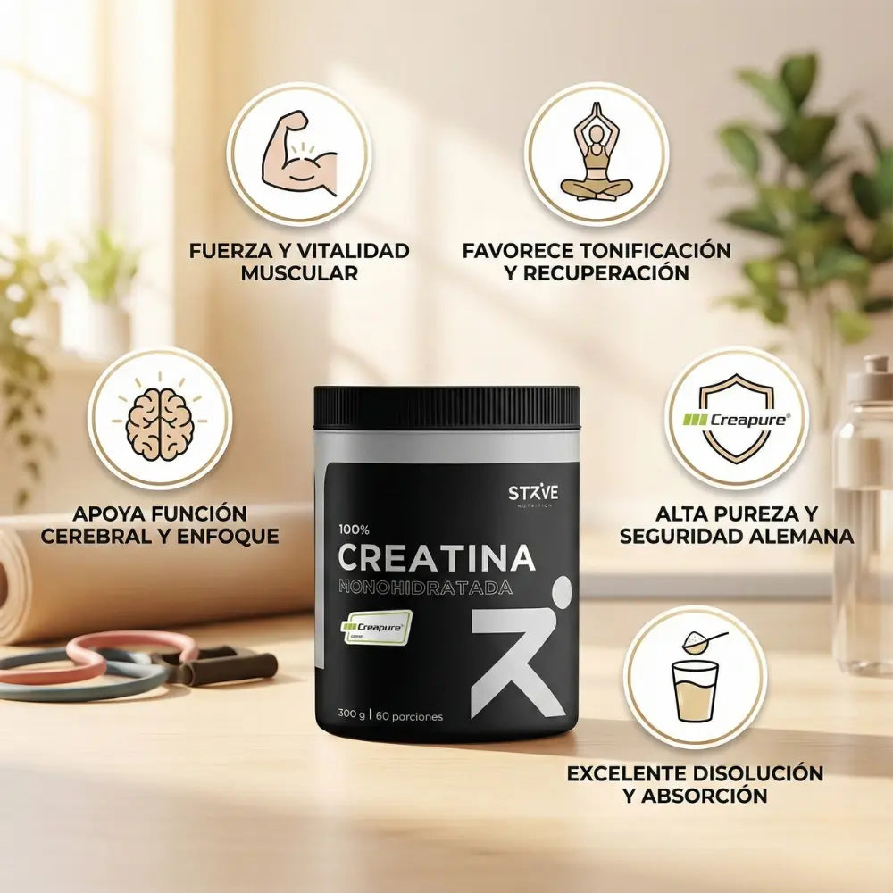Infografía Creatina monohidratada Strive con Creapure® para fuerza muscular, enfoque mental, disolución eficaz y pureza alemana.