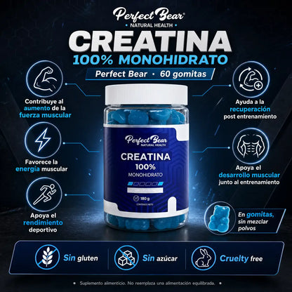 Infografía Creatina 100% Monohidrato Perfect Bear 60 gomitas fuerza muscular rendimiento sin gluten sin azúcar