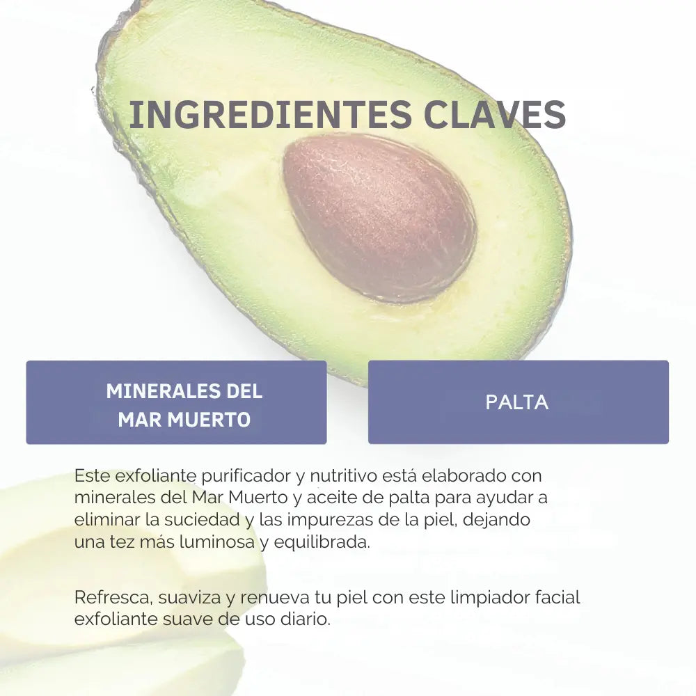 Infografía sobre los ingredientes clave del exfoliante facial, mostrando una ilustración de aguacate, con texto que resalta los minerales del Mar Muerto y el aceite de palta como ingredientes principales para una piel equilibrada y luminosa.