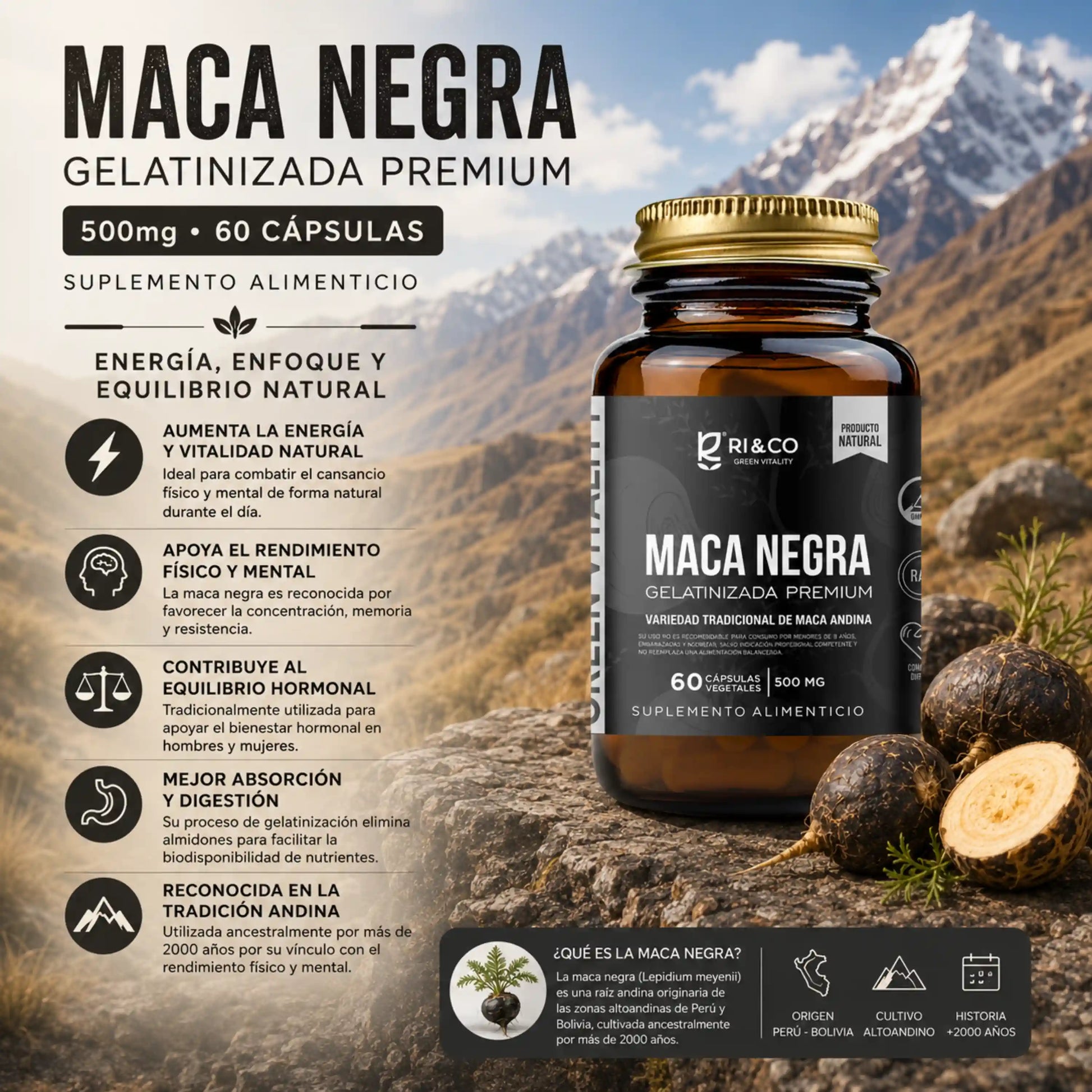 Infografía Maca Negra Gelatinizada RI&CO 500mg beneficios energía equilibrio hormonal y enfoque
