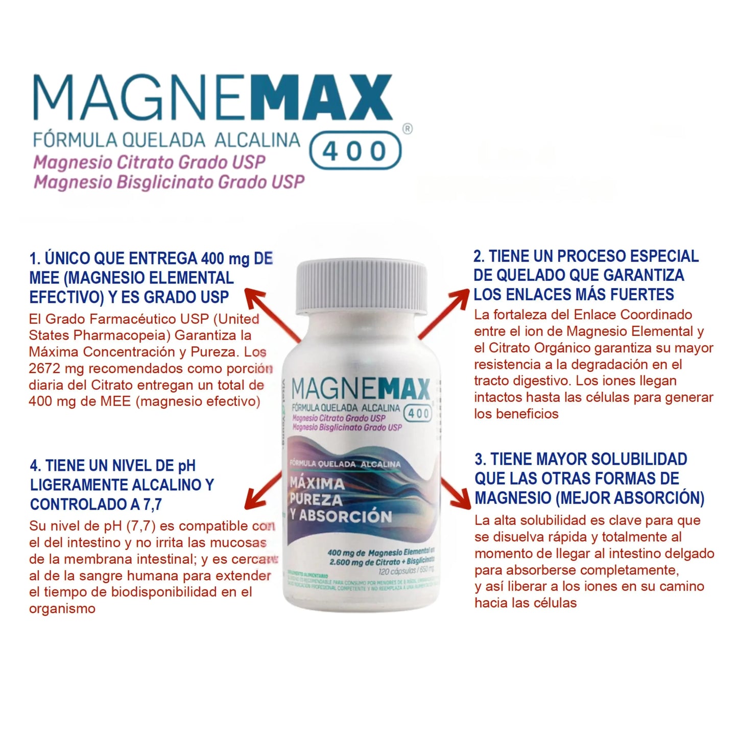 Infografía MagneMax 400 magnesio citrato bisglicinato: máxima absorción, fórmula alcalina USP y biodisponibilidad