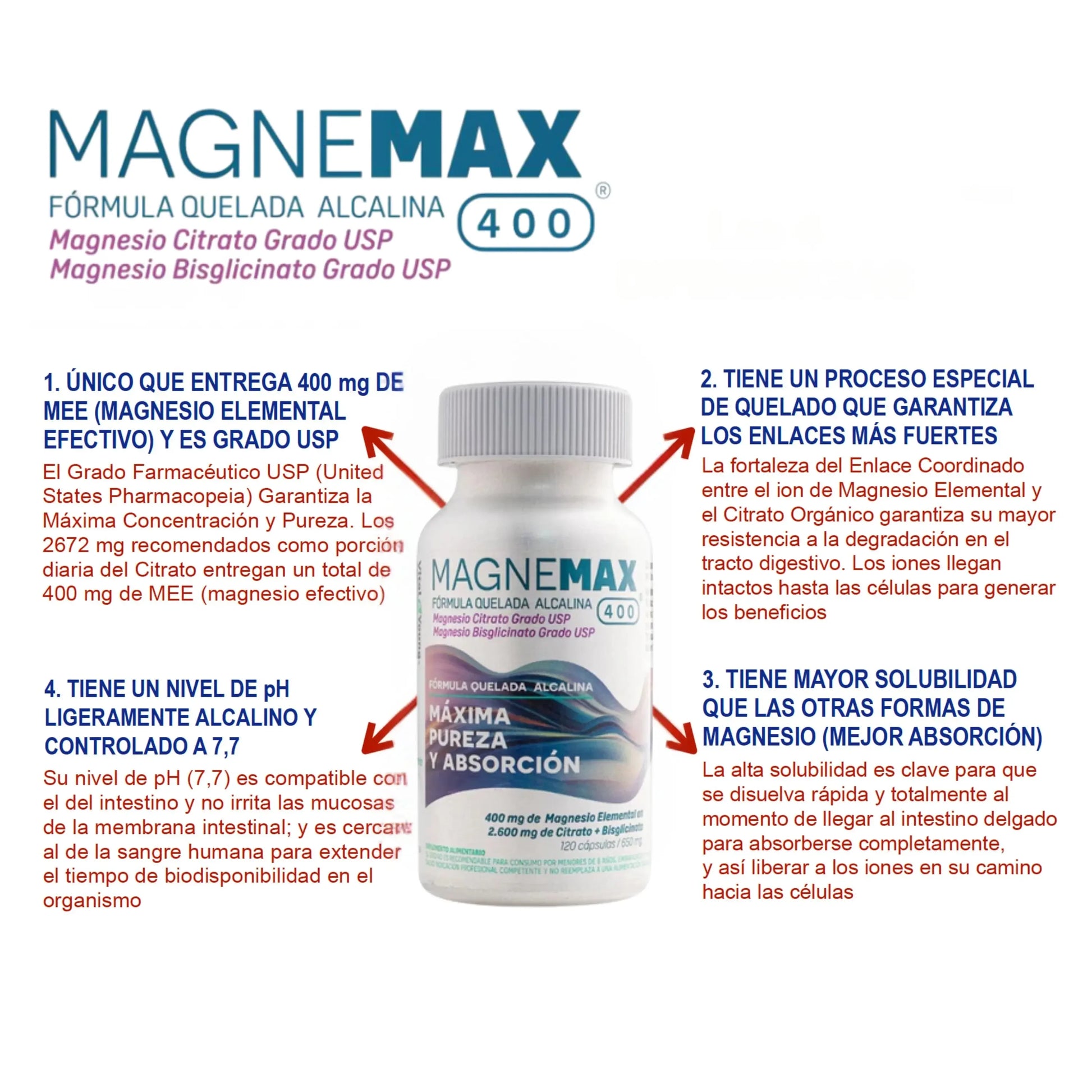 Infografía MagneMax 400 magnesio citrato bisglicinato: máxima absorción, fórmula alcalina USP y biodisponibilidad