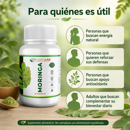 Infografía para quién es útil Moringa VibraLab: energía natural, defensas, antioxidante, bienestar diario
