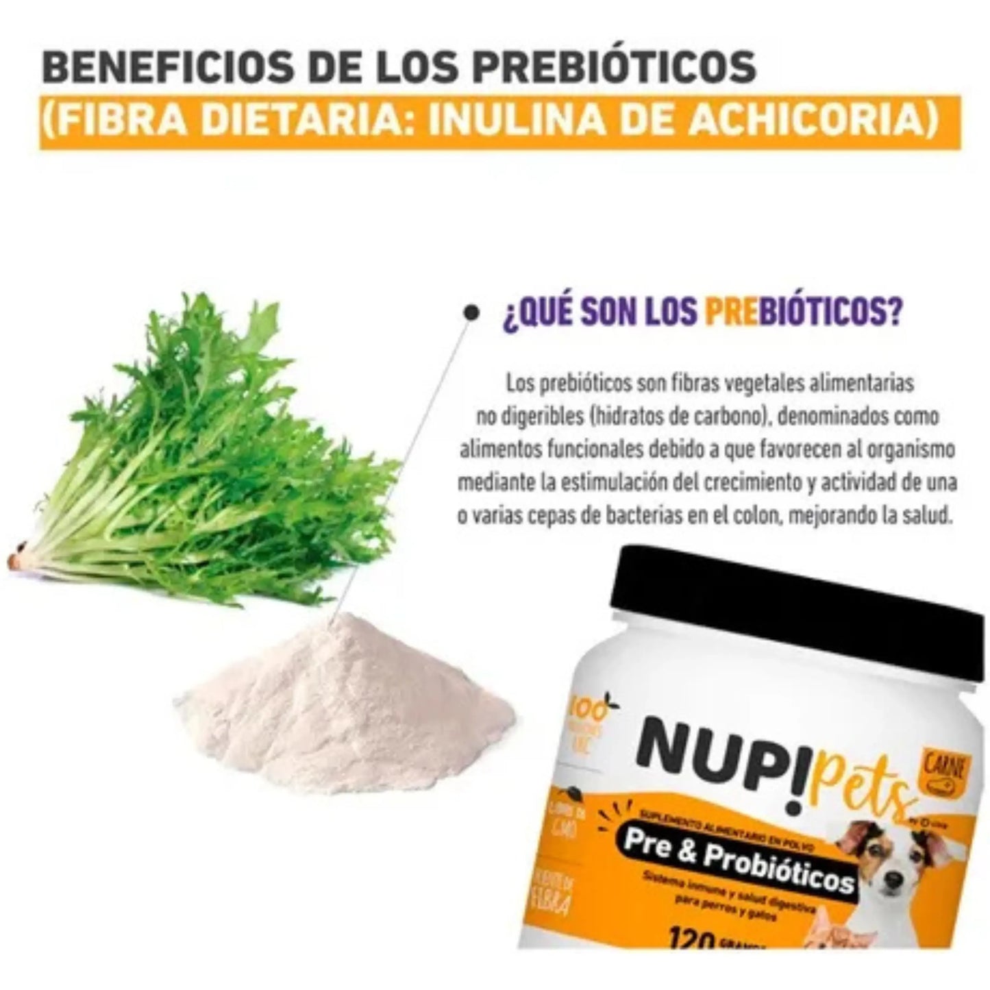 Infografía sobre beneficios de los prebióticos con inulina de achicoria e imagen del suplemento NUP! Pets para mascotas.