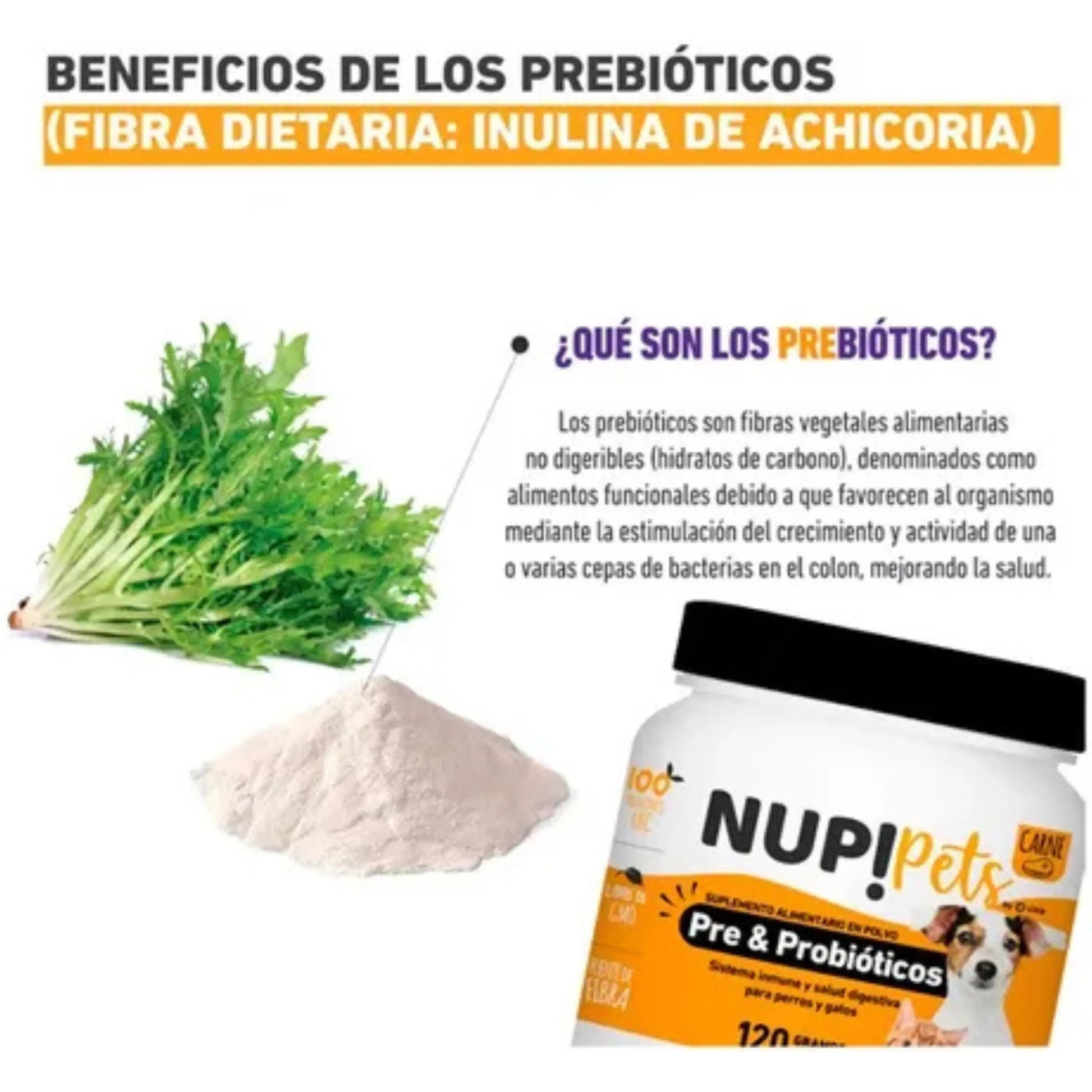 Infografía sobre beneficios de los prebióticos con inulina de achicoria e imagen del suplemento NUP! Pets para mascotas.