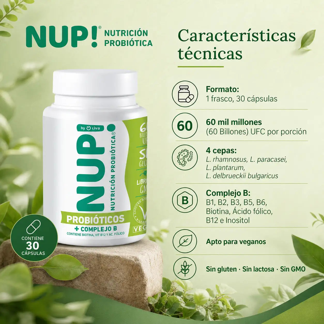 Características técnicas NUP Probióticos Complejo B 60 billones UFC 4 cepas vitaminas B1 a B12 vegano