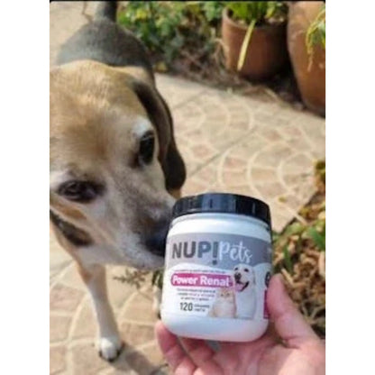 Perro olfateando frasco NUP! Pets Power Renal 120g suplemento renal y urinario para mascotas