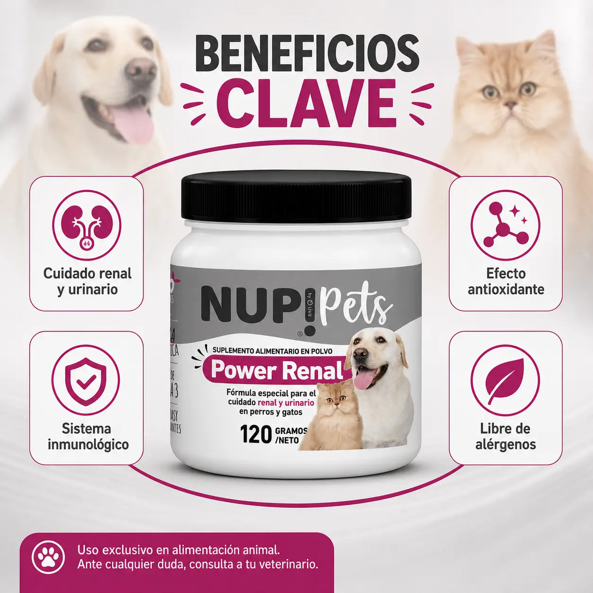 Infografía beneficios clave NUP Pets Power Renal cuidado renal urinario inmunidad antioxidante libre de alérgenos