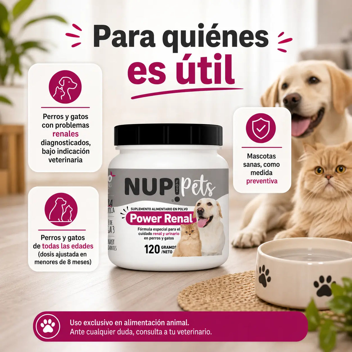 Infografía para quiénes es útil NUP Pets Power Renal perros y gatos problemas renales prevención todas las edades