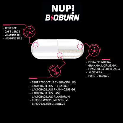 Infografía con cápsula del suplemento NUP! B10 BURN en el centro, mostrando su composición dividida en tres secciones: vitaminas (té verde, café verde, D3, B12), extractos vegetales (fibra de inulina, granada, frambuesa, aloe vera, poroto blanco) y probióticos.