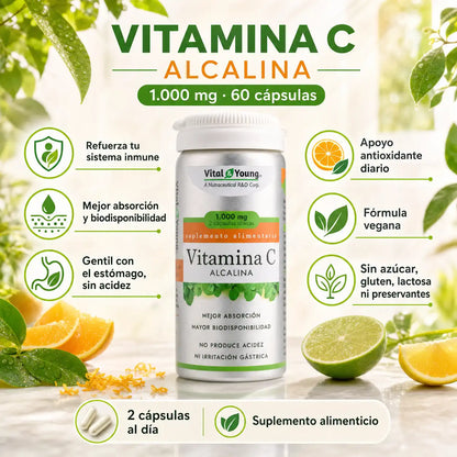 Infografía Vitamina C Alcalina Vital&Young 1000mg, 60 cápsulas, sin acidez gástrica, vegana