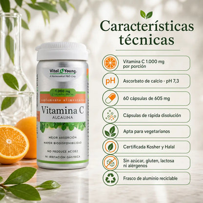 Infografía características técnicas Vitamina C Alcalina Vital&Young: 1000mg, pH 7,3, kosher, halal